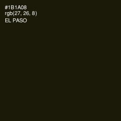 #1B1A08 - El Paso Color Image